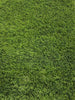 Artificial Grass - LawnHub - Bahamas 50mm LawnHub