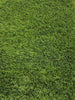 Load image into Gallery viewer, Artificial Grass - LawnHub - Bahamas 50mm LawnHub