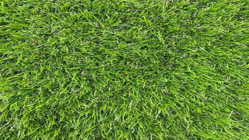 Artificial Turf Havana by LawnHub LawnHub