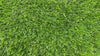 Artificial Turf Havana by LawnHub LawnHub