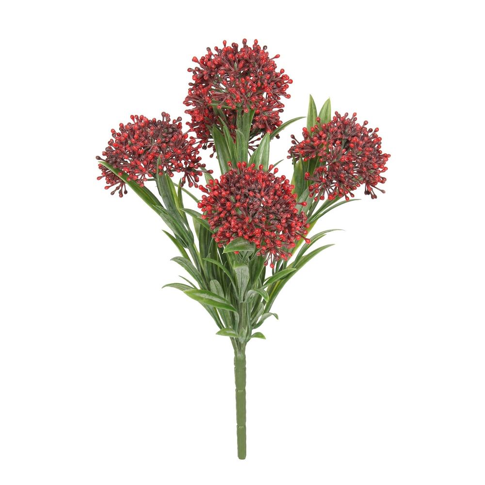 UV Exterior Everlast Skimmia Plant (24cm) Paving Online