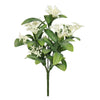 UV Exterior Everlast Star Flower Plant (25cm) Paving Online